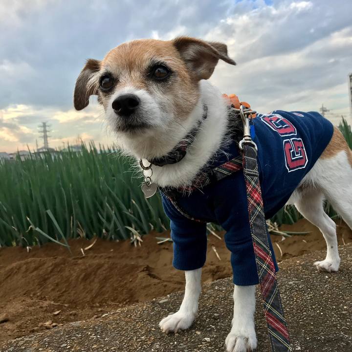 Ce444b44 560a 4377 a679 f9f6f1933b31 1604821506453