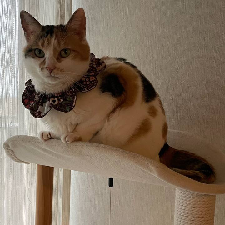 Ce445d7c 112b 4fec b677 5fb179fc7857 1749372959058