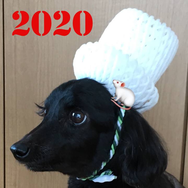 Ce448e5e 881a 4b68 a457 aec3f4fb886e 1577806209865