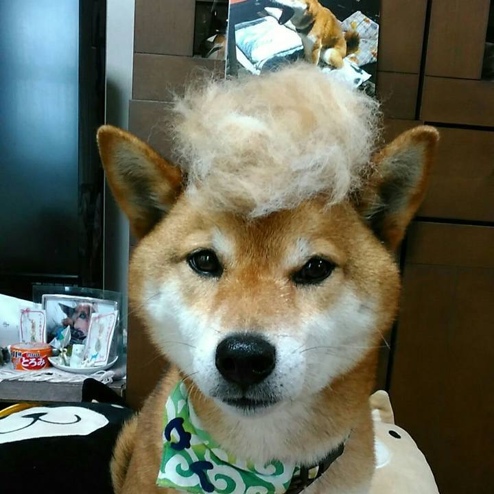 Ce44b98f 5b61 47eb b1fd cbd6c5c869de 1560215410392