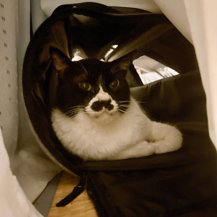 Ce44cf3a 797f 47ef a9bf 74a54b124700 1686264837565