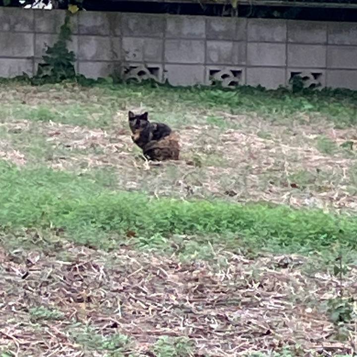 Ce450058 5f1a 4387 8587 4dbdc5d0ea79 1762091206132