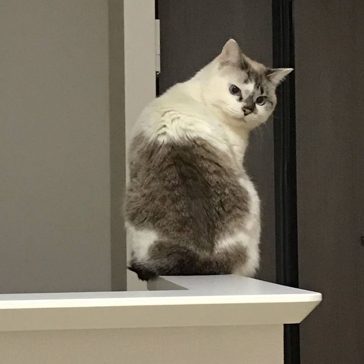 Ce45ecda f0f5 42a4 bb18 2cfe567b84e4 1548110025424