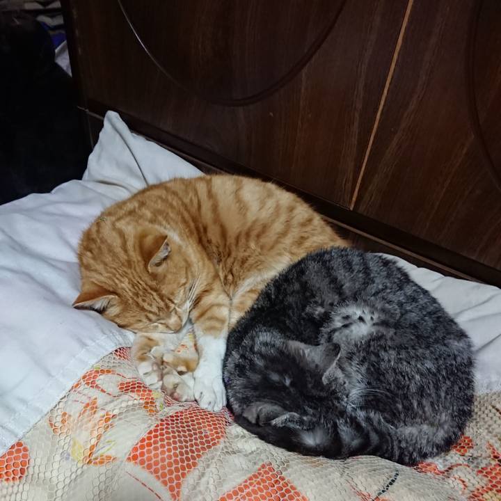 Ce45f692 ffe1 4af6 9738 df52aa4e5ea6 1580905491652