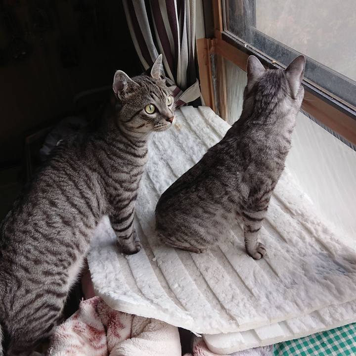 Ce463f22 26f4 435b 8b28 01c381ab605d 1542175806151