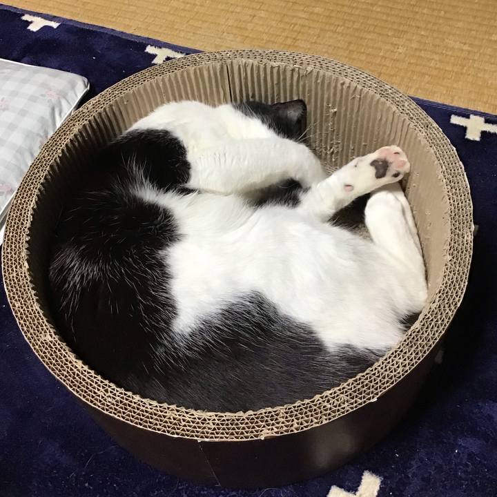 Ce464f7c 46ad 4299 b58f 8b675a749ee7 1708688328526