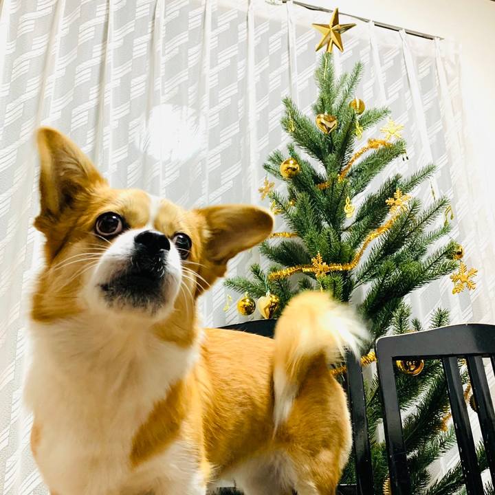 Ce468e5a 7b46 4b87 9466 304b597e5372 1640356479521