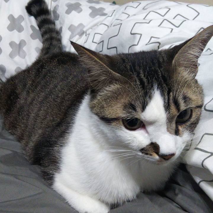 Ce46aa04 60cd 4a79 bff6 a45988e95cf5 1647581932259