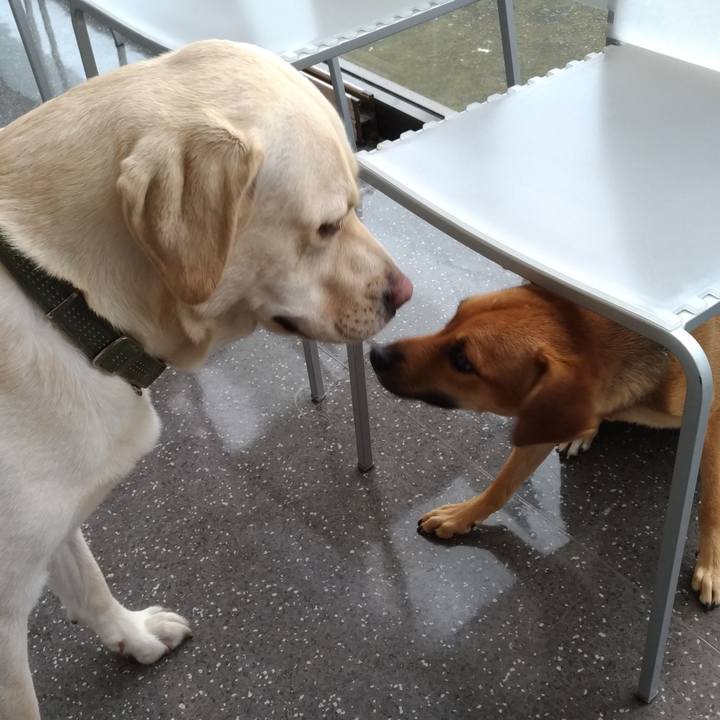 Ce46b419 4fb9 4e65 ab67 8a82fbed56be 1538189497259