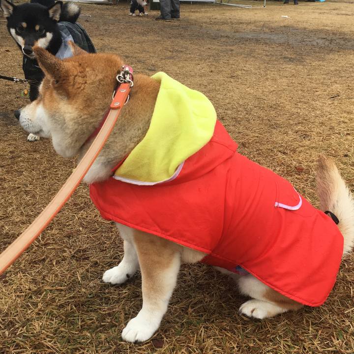 Ce4706a5 25fd 40dc 8af9 8761a3748310 1574491287599