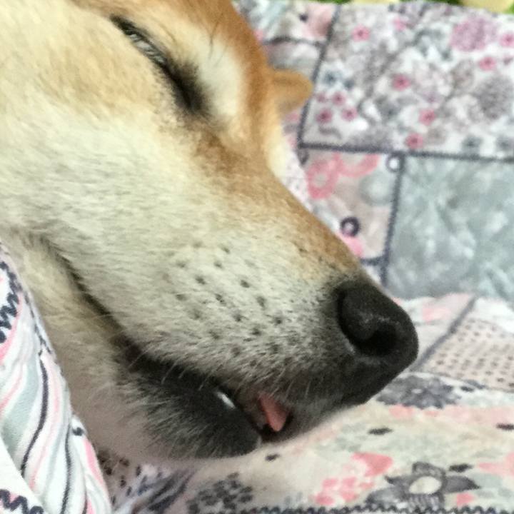 Ce470c61 d656 4cec 9b51 4ccb77d5f5ba 1621572925483