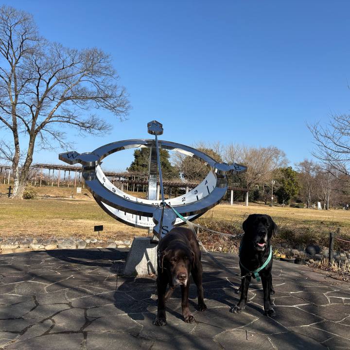 Ce4715a8 fe18 4996 82d1 300c35945c46 1768652620347