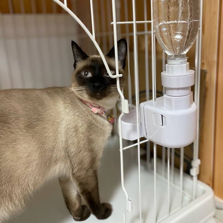 Ce471a9a ed48 4783 b729 fb375c872a1e 1714075057906