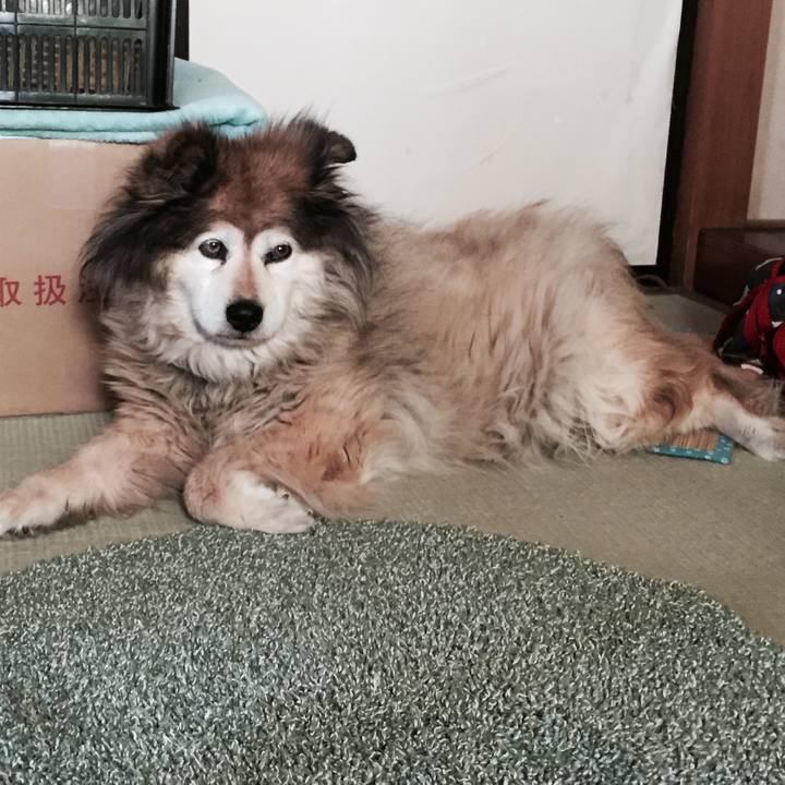 Ce476bb4 d3d1 436d 8128 0df47ad29cc8 1590995807824