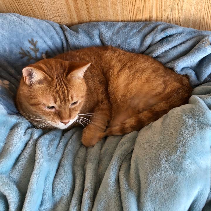 Ce476db9 9f1d 4ac9 8454 be377cb403d0 1700563239320