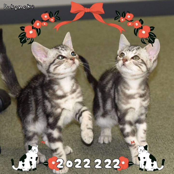 Ce478929 678e 43b0 813b 2bc4e065d83c 1645528371845