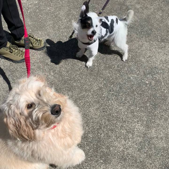 Ce478a2c 2125 4327 befb 912acbc1bb82 1711069258710