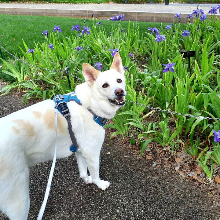 Ce478b8a af00 45a3 8b57 c0680bcc4d4a 1651720976461