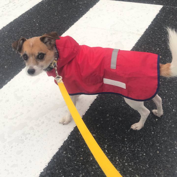 Ce478dfd 81c9 4c01 a1f1 8464d36f5abb 1537853655425