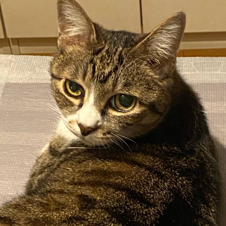 Ce47a3f1 02a4 4fa2 8f27 b48af495aeac 1624108835469