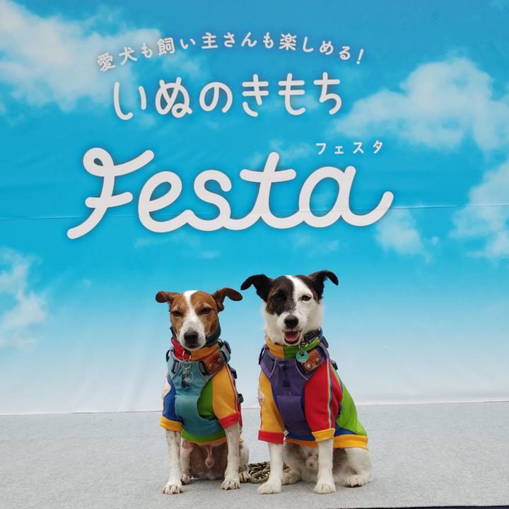 Ce47a8c3 540f 4a8f a71c e9196b6ffdf3 1727585848250