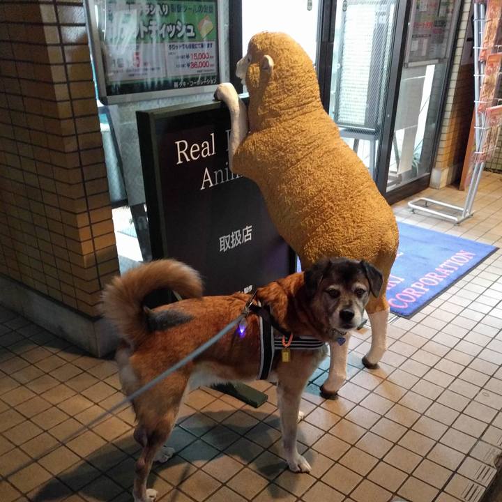 Ce47ceea 276b 4d77 9f49 05f8e7981615 1545041233460