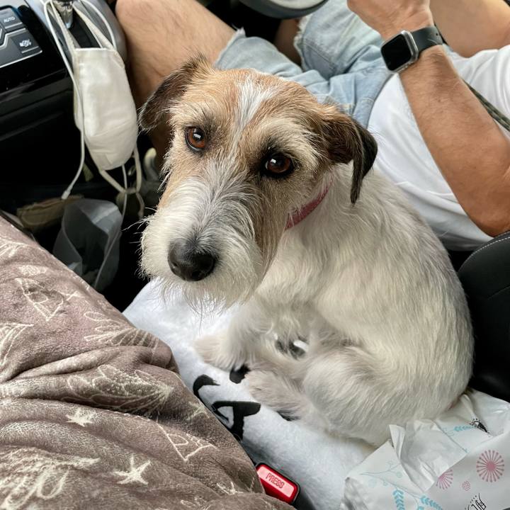 Ce47d67b 83d9 4f0c 8490 df1e2db9606d 1687790436229