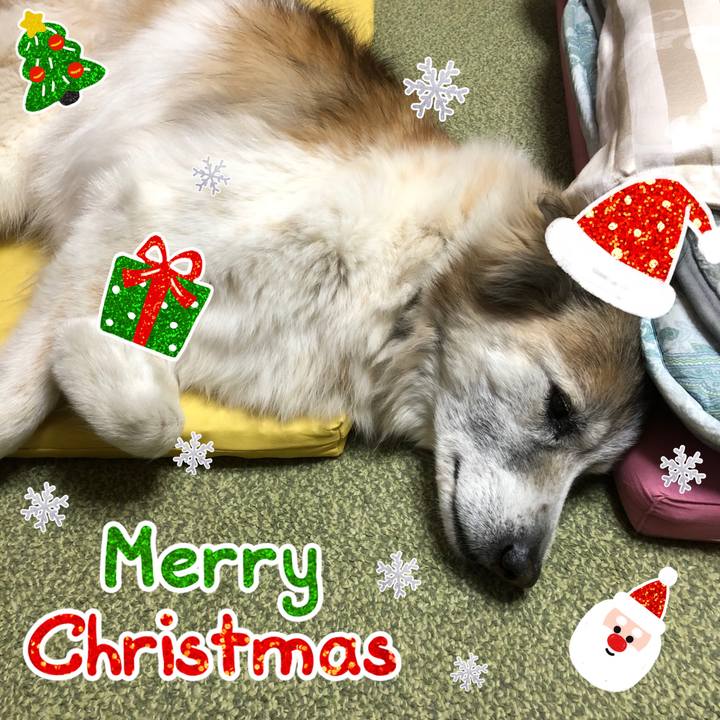 Ce47d872 3f82 4132 87fc 08fd4802d31b 1545689679662