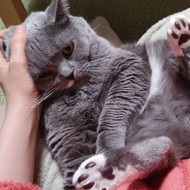 Ce47edd6 8936 4d08 9282 b9611d41e8f6 1676126970886