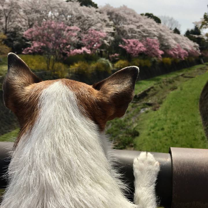 Ce480853 0143 4325 8c25 cbb3e1bcbaf8 1649114704883