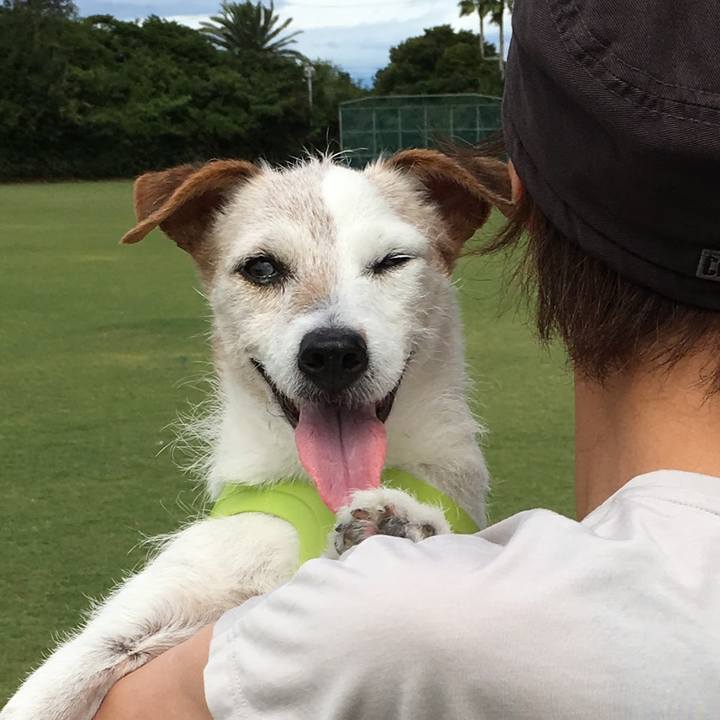 Ce483f94 94e1 41d9 a971 e421976e537c 1530151831551