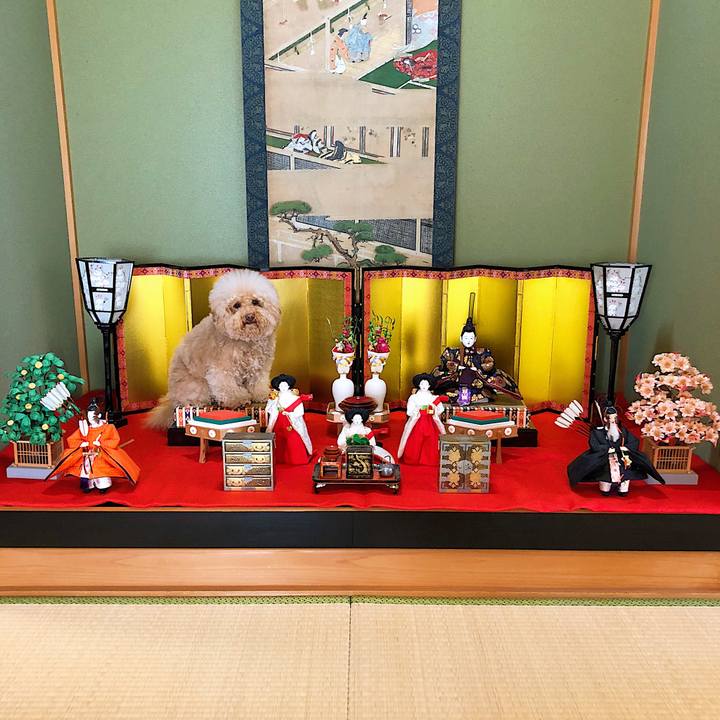 Ce484aaa 89f7 4f87 b874 16074ec689a1 1520047594421