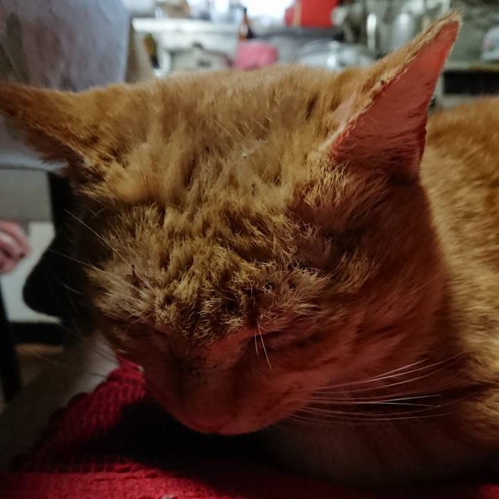 Ce48882d 0803 4f81 a803 177b97092054 1550917798978