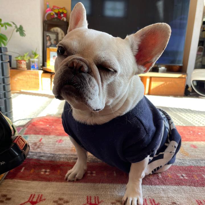 Ce48aade 727a 40ea 84fb fb72fa5d30dd 1770627777932