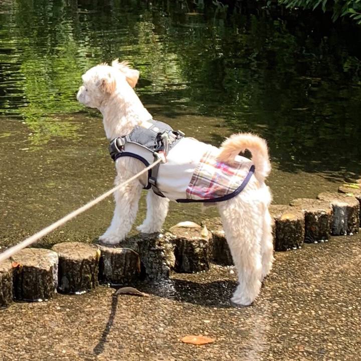 Ce48c032 d0a0 4080 94b3 bb9adc8e859c 1559393127321