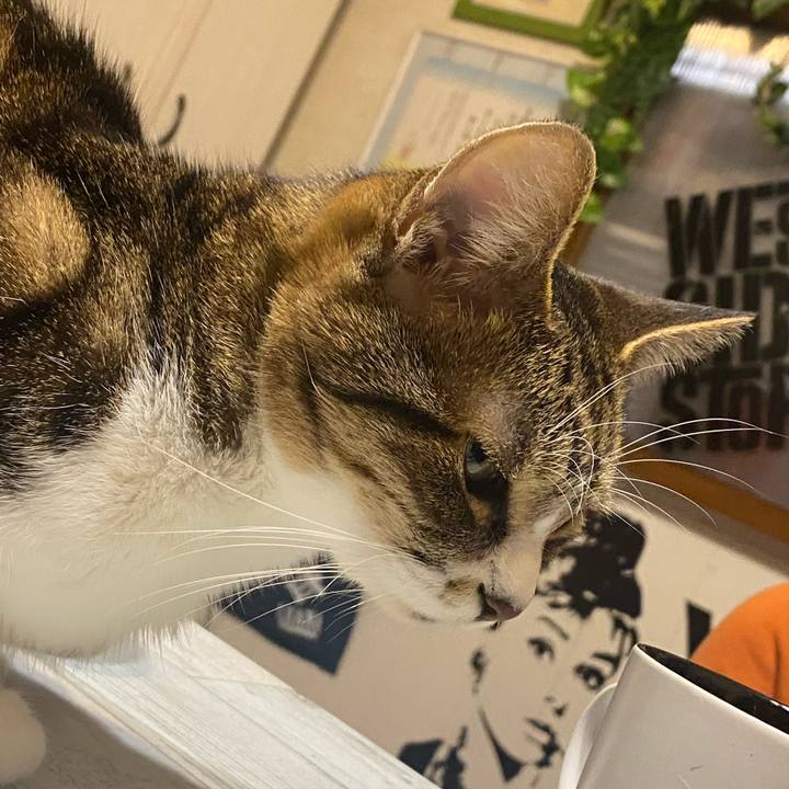 Ce48f335 3dd3 4d7b a149 2d8b6db4e272 1609511121392