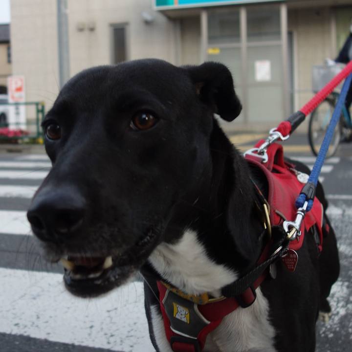 Ce48fe13 020f 4bcc b811 07e14b631531 1590401670361