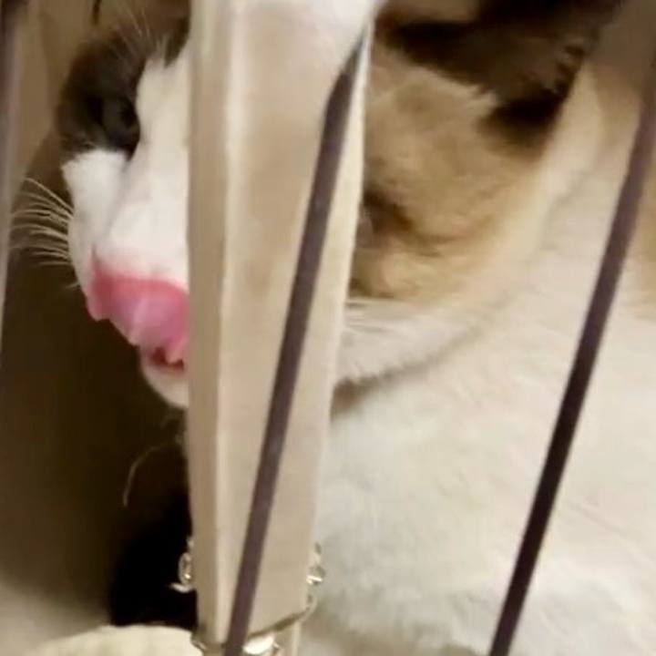 Ce491a85 9838 4f41 8442 ce691ba210e5 1735726034358