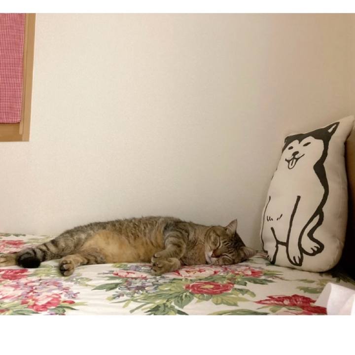 Ce492d14 c45d 4468 bdfa 66964ba76149 1757115412110