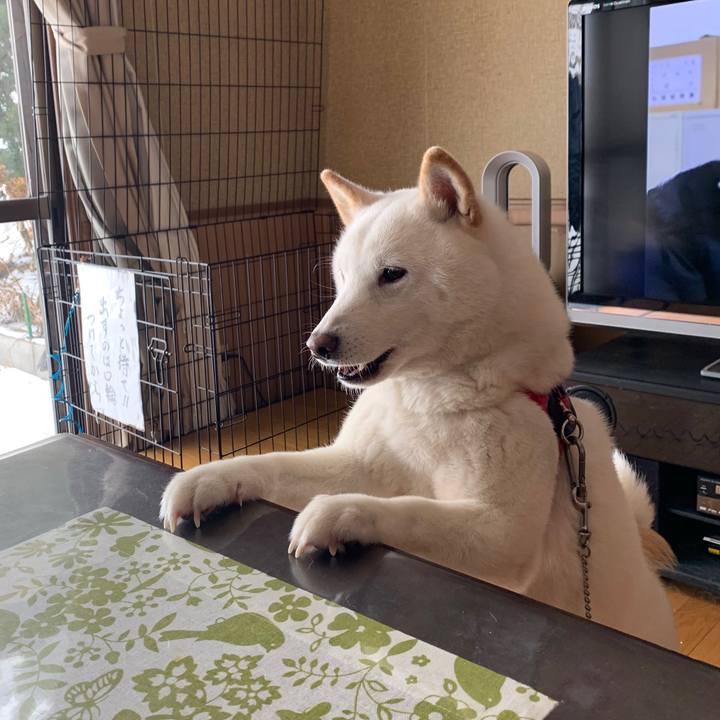 Ce49919a 5b09 4f7d 86da cc5128ad7b29 1578551992616