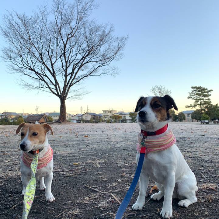 Ce49c227 f3e5 496d bf5c 2ce1138094cd 1610491561926