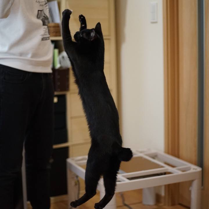 Ce49e0e8 d725 4370 804a 018b68ada760 1518325953395