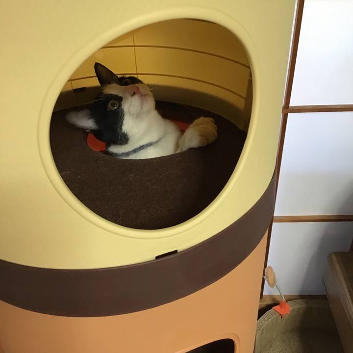 Ce49e160 8bea 4e94 ac51 a481638c34ef 1638408423498