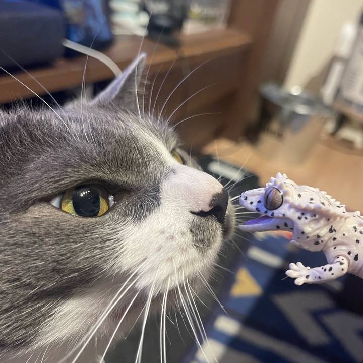 Ce4a07cb 7090 4027 9b6d 47762ffe5ff6 1687775868168