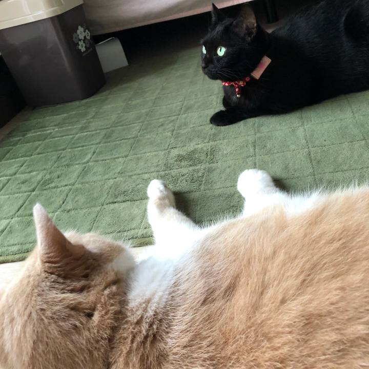 Ce4a0f02 0b6d 44d1 bc13 2a8f0ddc7c4d 1631054572936