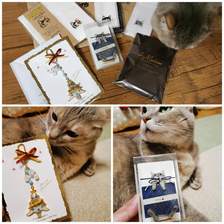 Ce4a2d00 8371 4305 8edd 03d44ba245ca 1674351742155