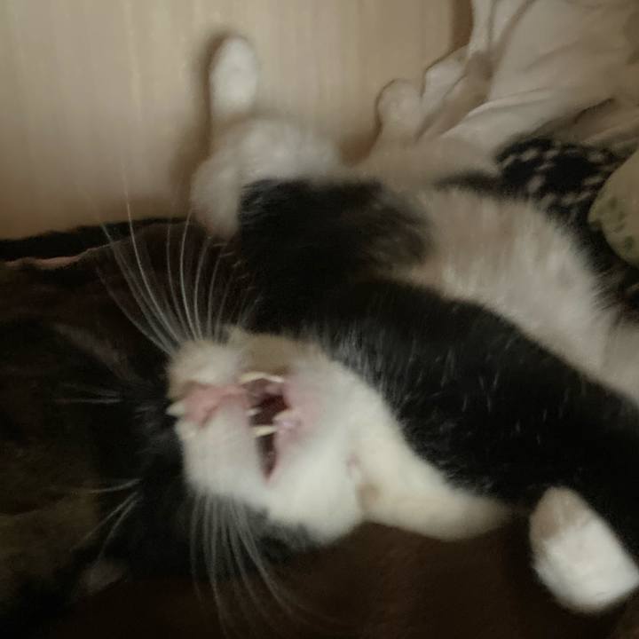 Ce4a370d b83c 4b2d b224 5eca5016bf80 1625203451342