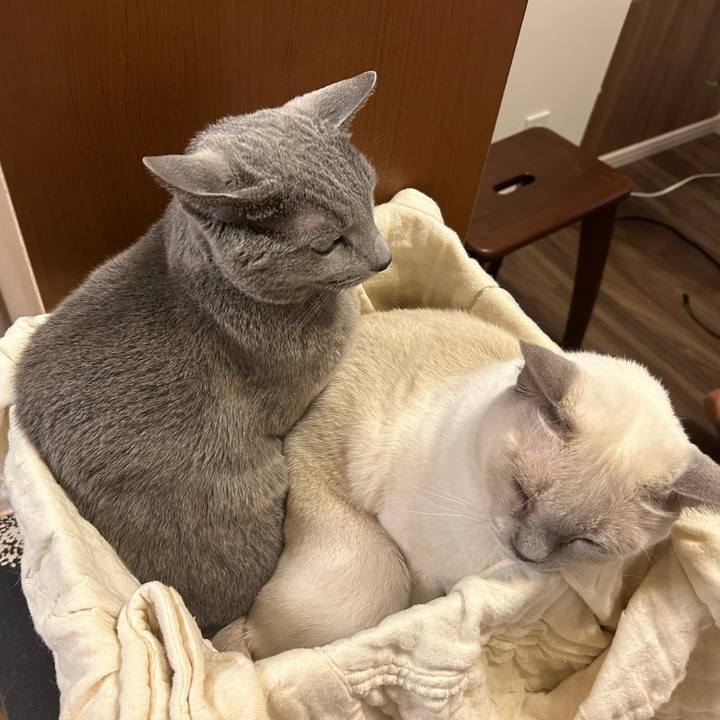 Ce4a3ed3 8c13 4909 bf20 271aa53ad6db 1736773833942