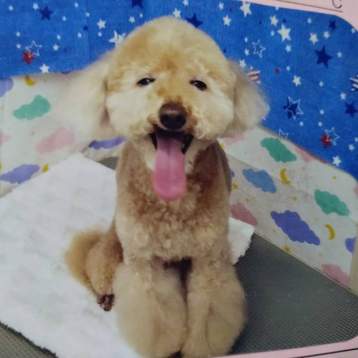 Ce4a507a 8149 4565 8e14 63f193ac2d86 1654408845157