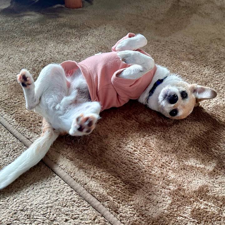 Ce4aa41a 0163 48d6 be4a 10a001ab9c77 1678776380035